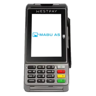 WestPay C100+