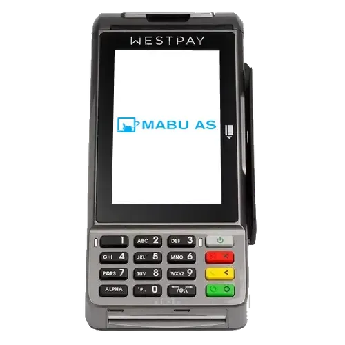 WestPay C100+